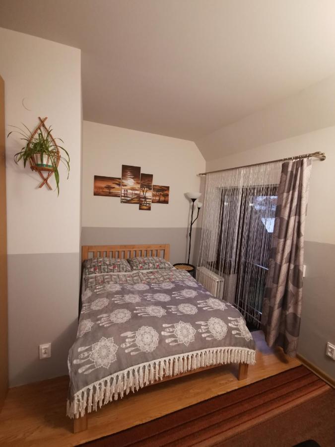 Homestay Olimp I *